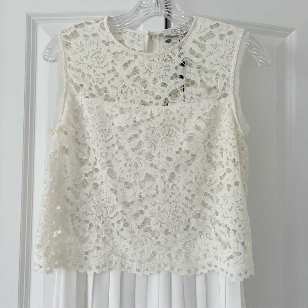 Alexis Dress Pania Pleated Lace Dress Size Small only worn one time - Picture 5 of 7